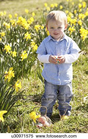 Stock Photography - Young Boy On Easter Egg Hunt In Daffodil Field. Fotosearch