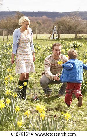 Picture - Young Family Walking Amongst Spring Daffodils. Fotosearch