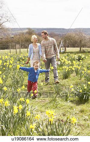 Young Family Walking Amongst Spring Daffodils View Large Photo Image Picture - Young Family Walking Amongst Spring Daffodils. Fotosearch