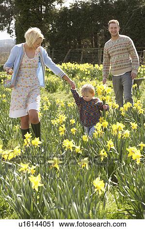 Young Family Walking Amongst Spring Daffodils View Large Photo Image Stock Image - Young Family Walking Amongst Spring Daffodils. Fotosearch