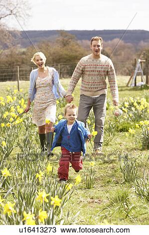 Young Family Walking Amongst Spring Daffodils View Large Photo Image Stock Image - Young Family Walking Amongst Spring Daffodils. Fotosearch