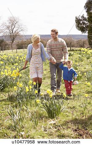 Stock Photo - Young Family Walking Amongst Spring Daffodils. Fotosearch