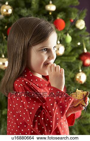 Young Girl Eating Star Shaped Christmas Cookie In Front Of Christmas Tree View Large Photo Image Picture - Young Girl Eating Star Shaped Christmas Cookie In Front Of Christmas Tree. Fotosearch