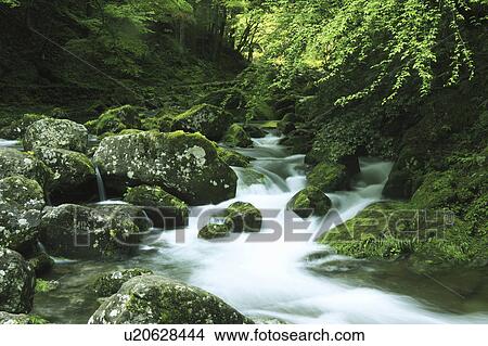 Picture - Akame Shijuhachi waterfall, Mie Prefecture, Honshu, Japan. Fotosearch