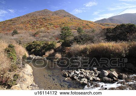 Stock Image - Autumn Leaves. Fotosearch