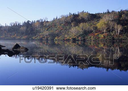 Stock Image - Autumnal Trees Reflected in Lake. Fotosearch