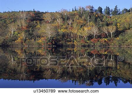 Stock Photo - Autumnal Trees Reflected in Lake. Fotosearch