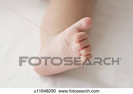 Stock Image - Baby's foot. Fotosearch