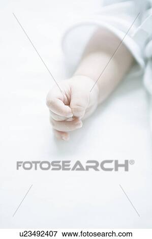 Stock Photo - Baby's hand. Fotosearch