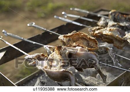 Stock Photo - Barbecued Fish. Fotosearch