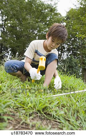Stock Image - Boy setting up tent, Chiba Prefecture, Honshu, Japan. Fotosearch