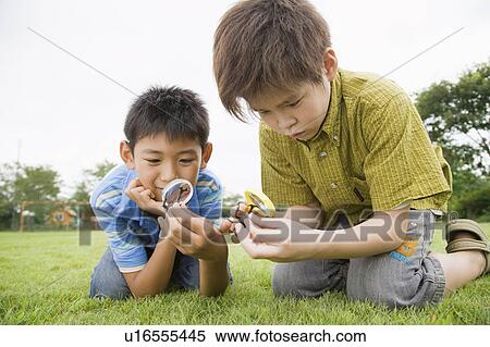 Boys holding magnifying glass and looking at beetles, Chiba Prefecture, Honshu, Japan View Large Photo Image Stock Photography - Boys holding magnifying glass and looking at beetles, Chiba Prefecture, Honshu, Japan. Fotosearch
