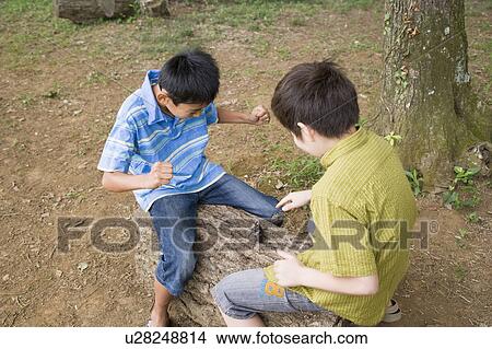 Boys making two beetles fight, Chiba Prefecture, Honshu, Japan View Large Photo Image Picture - Boys making two beetles fight, Chiba Prefecture, Honshu, Japan. Fotosearch