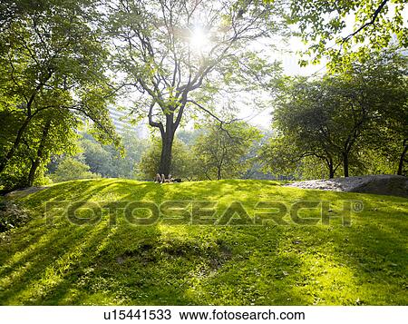 Central park, NYC, New York, USA View Large Photo Image Stock Image - Central park, NYC, New York, USA. Fotosearch