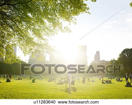 Stock Image - Central park, Sheep Meadow, NYC, New York, USA. Fotosearch