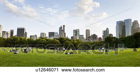 Stock Image - Central park, Sheep Meadow, NYC, New York, USA. Fotosearch