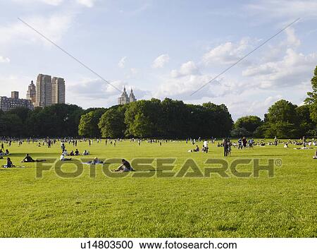 Stock Image - Central park, Sheep Meadow, NYC, New York, USA. Fotosearch