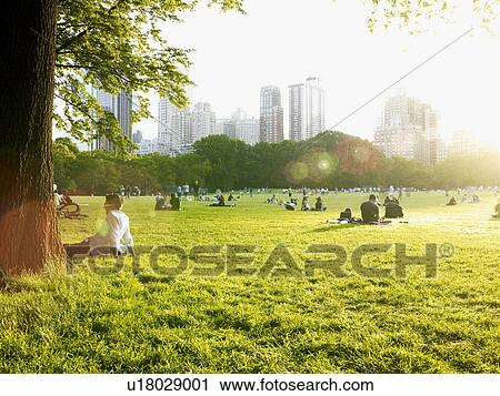Stock Image - Central park, Sheep Meadow, NYC, New York, USA. Fotosearch