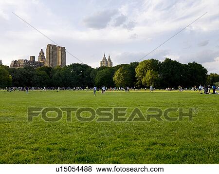Stock Photo - Central park, Sheep Meadow, NYC, New York, USA. Fotosearch