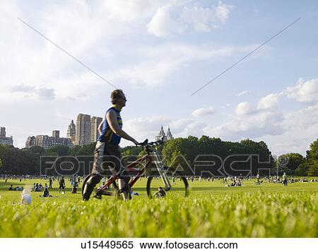 Central park, Sheep Meadow, NYC, New York, USA View Large Photo Image Stock Photography - Central park, Sheep Meadow, NYC, New York, USA. Fotosearch