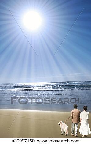 Stock Image - Couple and Dog on Beach. Fotosearch