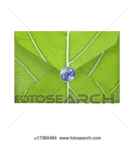 Picture - Envelope Made From Leaf. Fotosearch
