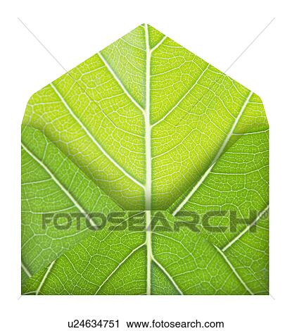 Stock Image - Envelope Made From Leaf. Fotosearch