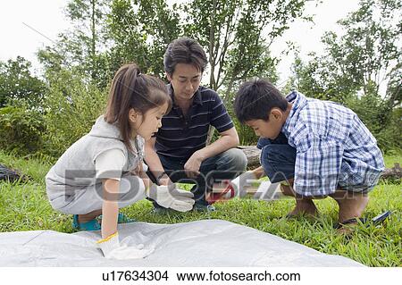 Picture - Family setting up a tent, Chiba Prefecture, Honshu, Japan. Fotosearch