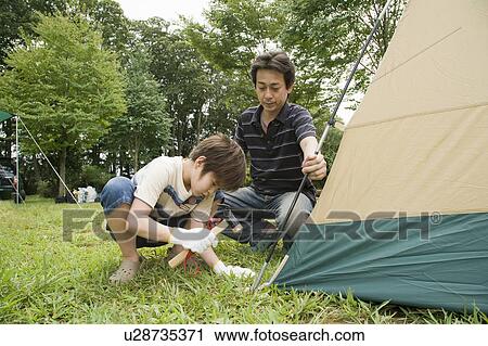 Stock Image - Father and son building a tent, Chiba Prefecture, Honshu, Japan. Fotosearch