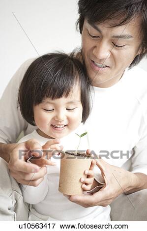 Stock Photo - Father and son holding potted plant. Fotosearch