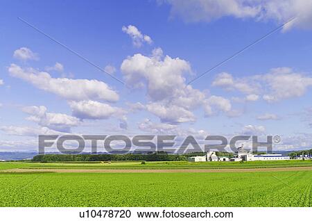 Stock Image - Fields at Farm. Fotosearch