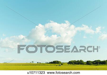 Stock Image - Fields. Fotosearch