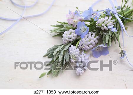 Stock Image - Flowers and herbs. Fotosearch