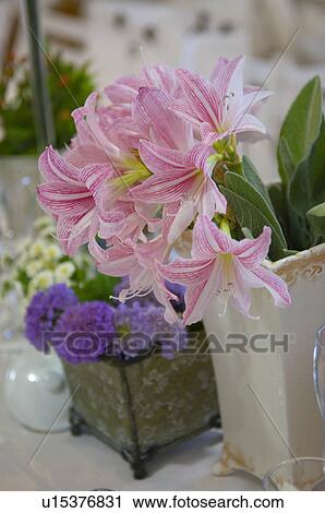 Stock Image - Flowers in vase. Fotosearch