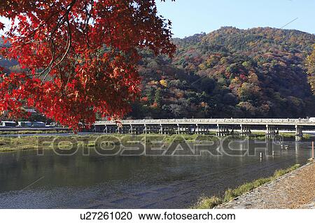 Stock Image - Foliage at Arashiyama, Kyoto Prefecture, Honshu, Japan. Fotosearch