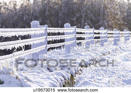 Stock Photography - Frozen Fence. Fotosearch