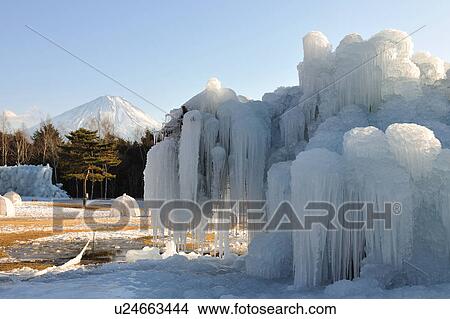 Picture - Frozen tree at Nishi-ko Wild Bird Park, Yamanashi Prefecture, Honshu, Japan. Fotosearch