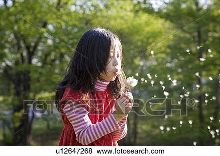 Stock Photo - Girl Blowing Dandelion Seeds. Fotosearch