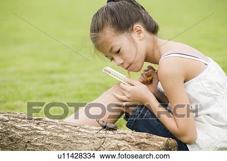 Picture - Girl drawing a beetle on log, Chiba Prefecture, Honshu, Japan. Fotosearch