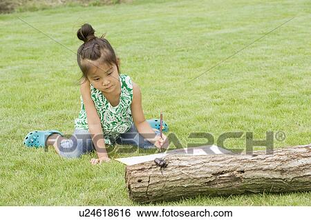 Stock Photograph - Girl drawing a beetle on log, Chiba Prefecture, Honshu, Japan. Fotosearch