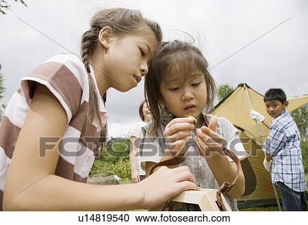 Stock Image - Girl holding a grasshopper, Chiba Prefecture, Honshu, Japan. Fotosearch