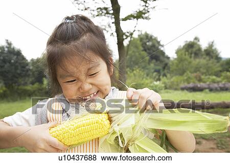 Girl peeling corn husk, Chiba Prefecture, Honshu, Japan View Large Photo Image Stock Photo - Girl peeling corn husk, Chiba Prefecture, Honshu, Japan. Fotosearch