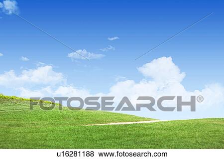 Green Field View Large Photo Image Stock Photo - Green Field. Fotosearch