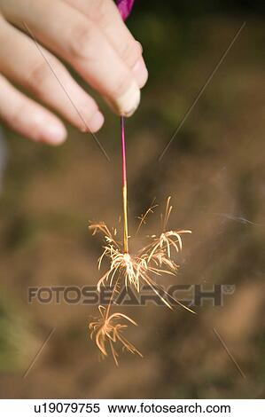 Stock Photography - Hand holding firework, Chiba Prefecture, Honshu, Japan. Fotosearch