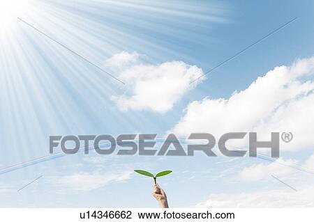 Stock Image - Hand Holding Up Sprout. Fotosearch
