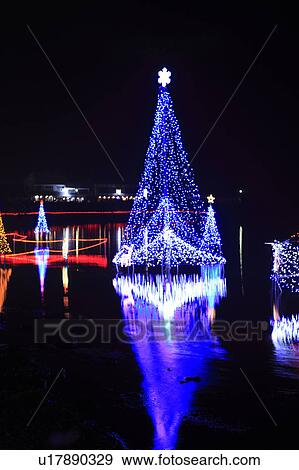 Haruna Lake, Illumination, Festival View Large Photo Image Stock Photo - Haruna Lake, Illumination, Festival. Fotosearch