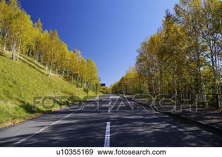 Stock Photo - Highway in Autumn. Fotosearch