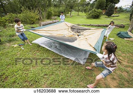 Kids setting up a tent, Chiba Prefecture, Honshu, Japan View Large Photo Image Stock Photo - Kids setting up a tent, Chiba Prefecture, Honshu, Japan. Fotosearch