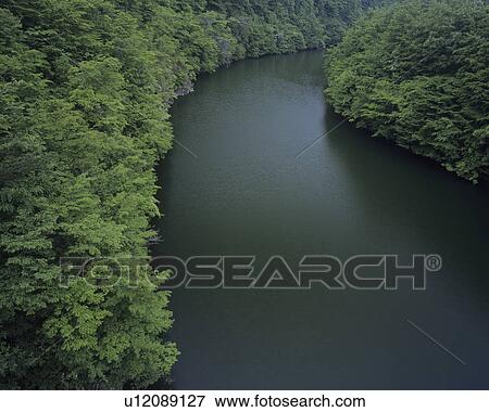 Lake and Forest View Large Photo Image Stock Photo - Lake and Forest. Fotosearch