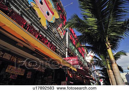 Stock Image - Low Angle view of Palm Tree Outside Shop. Fotosearch